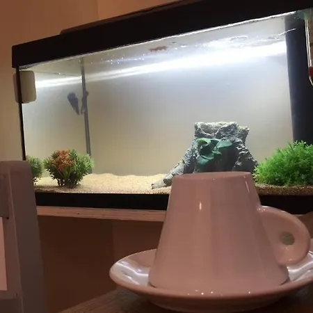 Prestige Bed & Breakfast 4*